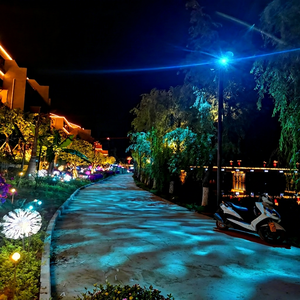 Tree <b>Lighting</b> With Water Ripple Effect For Interactive Garden And Outdoor Event Projections - Product Image 4