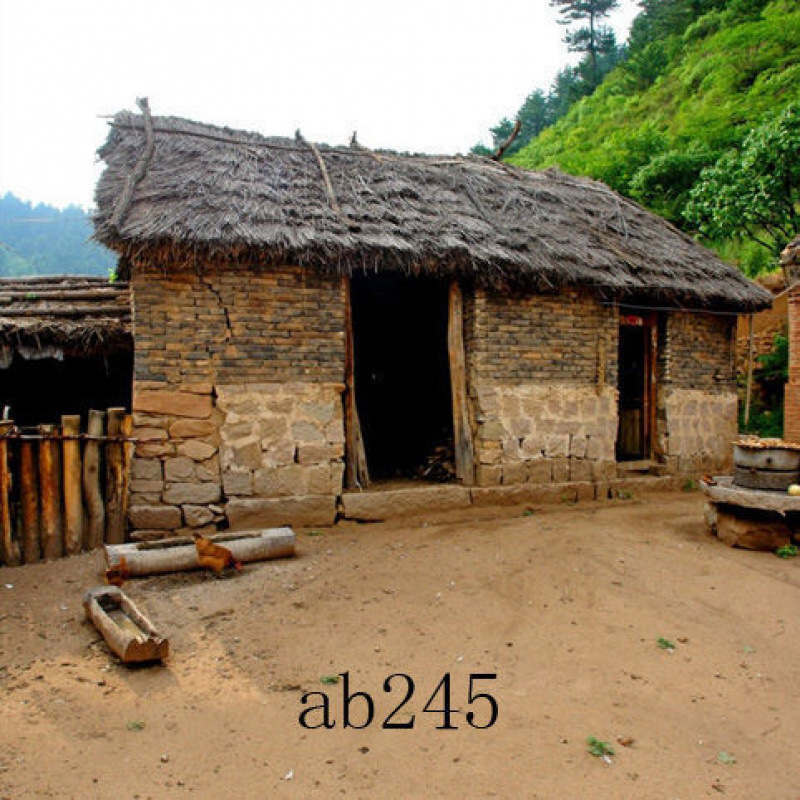ab245--Dongxu