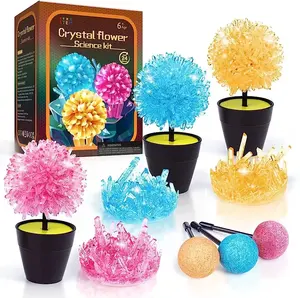 Crystal Growing Kit Science Kits para Girl Boy Gift DIY Brinquedos Educativos Aniversário Idéias Stem Toys Artesanato para crianças