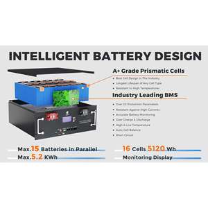 Nuevo Sistema de Almacenamiento de Energía Doméstico de 20.48kWh 51.2V 400Ah con Batería de Litio LiFePO4, Montaje en Rack, Dividido, IP65, Capacidad de 10kWh - Product Image 6