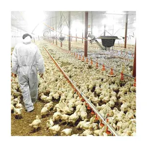 Prezzo economico allevamento automatico di pollame facile penna di pollo e pollaio