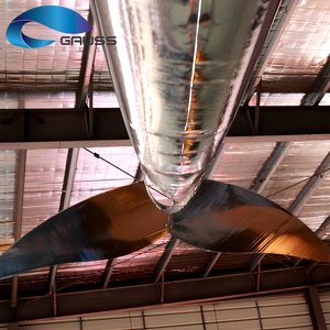 Delfino Gonfiabile in Lamina Metallica RC, Modello Volante Telecomandato, Palloncino Pesce Volante per Spettacoli Commerciali - Product Image 5