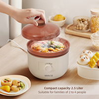 Casserole électrique portable avec couvercle en céramique, pot extérieur en plastique de 2,5 litres, cuiseur lent manuel pour usage domestique