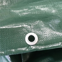 Bâche PE imperméable stratifiée en toile unie pour auvent de jardin, voile d'ombrage, bâche de protection pour bateau, camion, niche pour chien, pour garçons