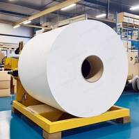 Rouleau de papier jumbo économique préféré 500 kg pour papier toilette et papier hygiénique