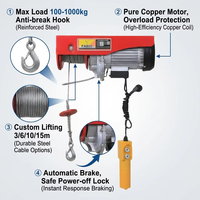 Palans électriques de levage sans fil légers et silencieux haute performance 110V60Hz monophasés pour garage et usine