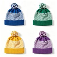 Gorra de Golf Multicolor con Pompón, Bola Pequeña y Esponjosa, Logotipo Bordado Personalizado, Gorro Deportivo de Invierno, MOQ Bajo, Fábrica en Vietnam