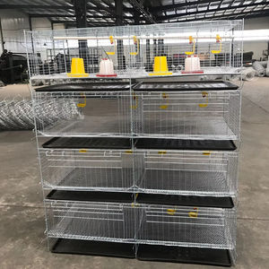 Jaula de cría de <span class=keywords><strong>pollitos</strong></span> recién <span class=keywords><strong>nacidos</strong></span> 1000 condición de jaula de pollo para bebés nuevo - Product Image 1