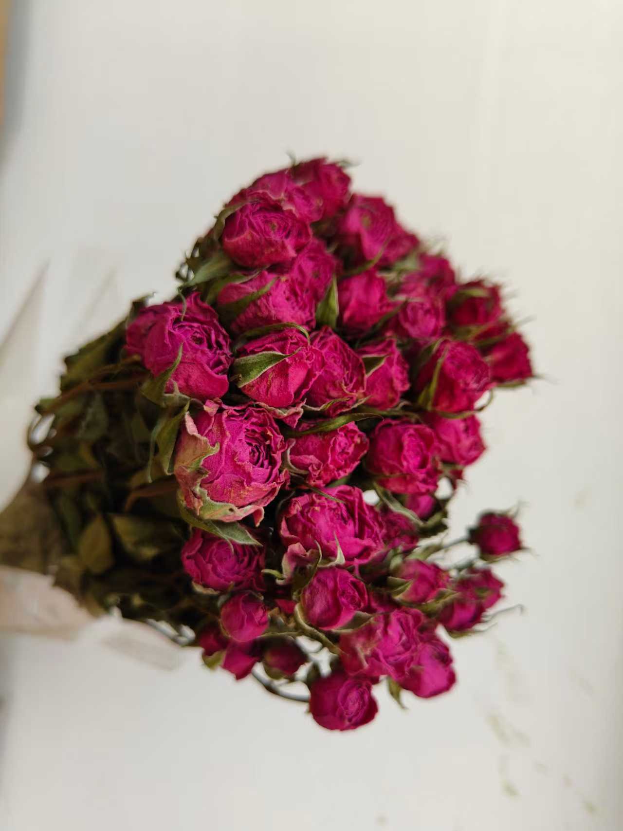 Bebé Sophie Rojo