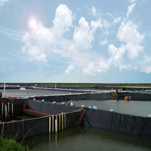 HDPE غشاء أرضي بطانة بركة مزرعة الأسماك الموردين HDPE غشاء أرضي - Product Image 3