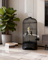Cage à oiseaux ronde noire de qualité supérieure avec support et accessoires, cage à perroquet durable avec mangeoire et perchoir pour perruches, canaris
