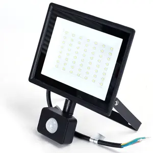 Projecteur LED 50w 4300lm 4000k ip65 pour l'éclairage extérieur, la signalisation et la sécurité. - Product Image 1