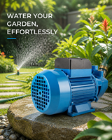 Pompe à eau périphérique électrique haute pression 50Hz 220V QB60 pour l'irrigation des jardins, 0,75 CV, 0,5 CV, 1 CV
