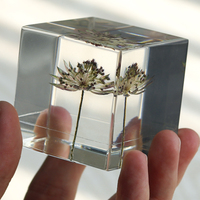 Presse-papiers artisanal en résine époxy transparente avec cube de scorpion véritable et fleur de pissenlit véritable en résine