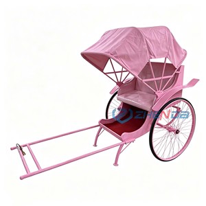 Factory selling high-quality <b>pink</b> rickshaws two-wheeled special transport manufacturers selling rickshaws - Product Image 1
