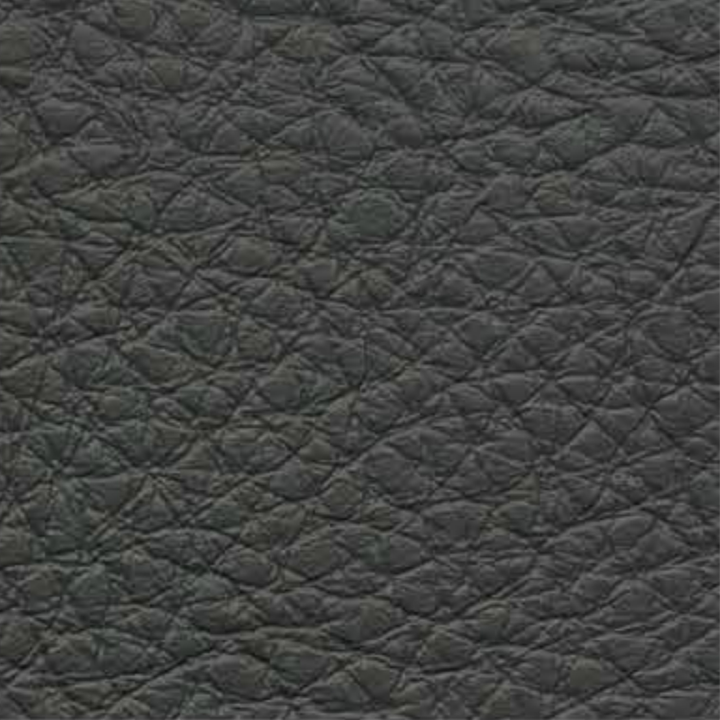 cachi