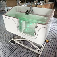Baignoire SPA pour animaux de compagnie (chats et chiens) avec lumière colorée et fonctions de bain au lait, modèle 2026.2.7