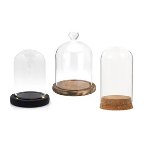 Aangepaste Decoratieve Mini Helder Borosilicaat Lege Bloem Sieraden Cloche Cover Bell Jar Terrarium Led Led Syndicaat Glazen Koepel