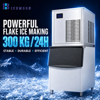 Usine de fabrication de glace commerciale pour la transformation des aliments et des boissons, avec une puissance de 1350 W, production de glace en flocons et assistance technique en ligne