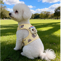 Ensemble harnais et laisse pour chiens et chats, motif ours et décorations mignonnes, sangle en Y, anti-évasion, respectueux du cou, 4 couleurs