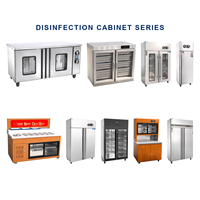 Machine intégrée de désinfection et d'assaisonnement 2-en-1 : Armoire de stockage de condiments stérilisante pour cuisine commerciale
