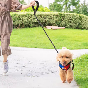 Laisse pour chien en nylon en gros, style simple et tendance, corde souple et durable, laisse réfléchissante pour chien - Product Image 4