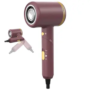 Factory Direct Sale Foldable Hair Dryer Household Blow Salon Dryer Negative Ion Electrical Portable Hair Blow Dryer