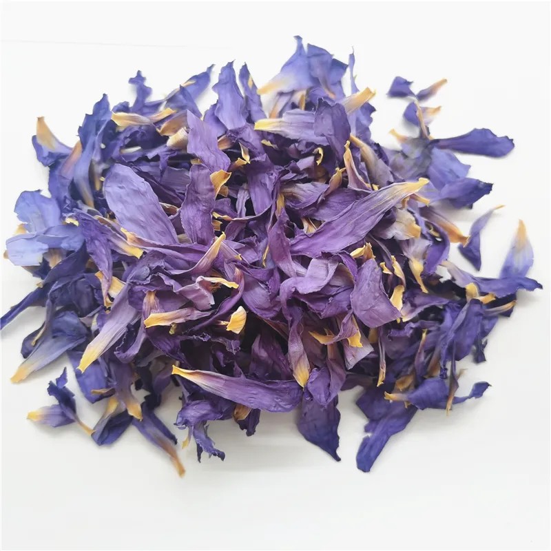 Pétale de fleur de lotus bleu séché en vrac de lotus bleu égyptien de qualité thé