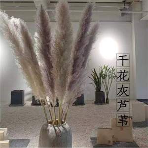 Ramo <span class=keywords><strong>de</strong></span> Flores Secas Naturales <span class=keywords><strong>de</strong></span> Junco Grande - Decoración <span class=keywords><strong>de</strong></span> Flores Eternas para el Día <span class=keywords><strong>de</strong></span> San Valentín, Pascua, Año Nuevo - Venta al por Mayor <span class=keywords><strong>de</strong></span> Fábrica China - Product Image 3