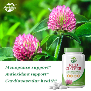 Capsules de Trèfle Rouge OEM ODM - Soutien Traditionnel à la Santé pour les Femmes, Soutien à la Ménopause, Antioxydant, Soutien à la Santé Cardiovasculaire - Product Image 2