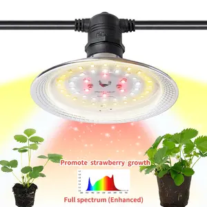 Melhor 15W LED Plantando Bulbo Jardinagem IP65 À Prova D' Água Estufa Morango Hidropônico Full Spectrum Planta Integrada Crescer Luz