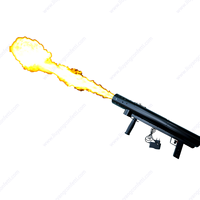 Pistolet à flamme métallique portatif avec commande électrique sans fil pour DJ, fête, scène, club