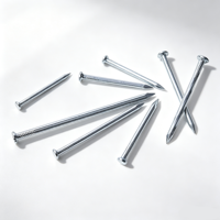 Clous en acier galvanisé trempé pour maçonnerie, construction, menuiserie, mur en briques, ciment, bois, quincaillerie de fixation