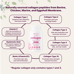 Capsules de collagène complexe multi-sources à marque privée pour cheveux, ongles et peau, suppléments éclaircissants, capsules de collagène multi-sources - Product Image 3