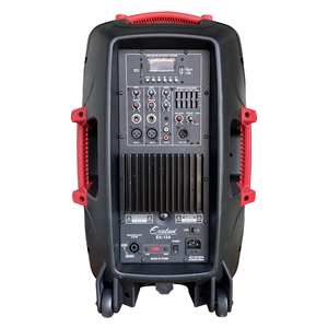 Enceinte active + passive HYANKE EX-10A 10 pouces, 100W RMS, avec USB et radio <span class=keywords><strong>FM</strong></span> - Product Image 5