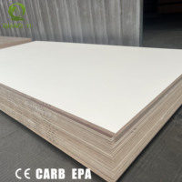 Biz Standart Ticari Yapısal Dayanıklı Beyaz Renkli 18mm Deniz Tipi Lamine Kontrplak Tekne Kullanımı
