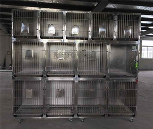 Sistema de Jaulas Modulares EURVET de 4 Espacios, Incluye Rejilla de Piso, Bandeja y Ruedas para Alojamiento y Hospitalización de Animales - Product Image 4