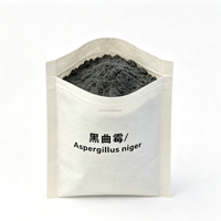 Poudre Fongique Thermo-Stable Résistante aux Granulés Aspergillus Niger 5 Milliards UFC/g Additif Alimentaire pour l'Alimentation des Volailles et du Bétail en Granulés à Haute Température