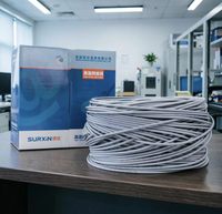 Kabel Ethernet Cat6 100ft 10Gbps Kabel Jaringan Internet Kecepatan Tinggi 550Mhz CCA Kabel Patch Lan untuk Modem Router Gaming PC