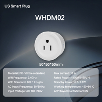 Stop Kontak Pintar WiFi Matter Tipe Colokan US dengan USB Tipe C, Dapat Dipasang di Dinding, Kontrol Aplikasi Tuya untuk Rumah Pintar, Dapur, Samping Tempat Tidur, Kantor, UL94 V-0