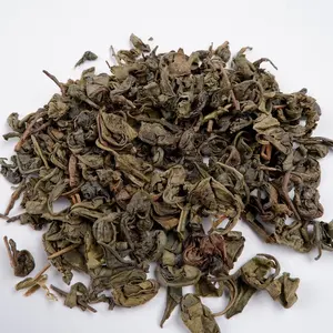 KOSTENLOSE PROBE Chinesisches reines natürliches loses grünes Tee blatt Schießpulver 9501 für Großhändler