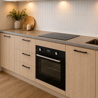 Meubles de cuisine à panneaux plats pour les projets de construction d'appartements locatifs et de développement de logements locatifs à long terme