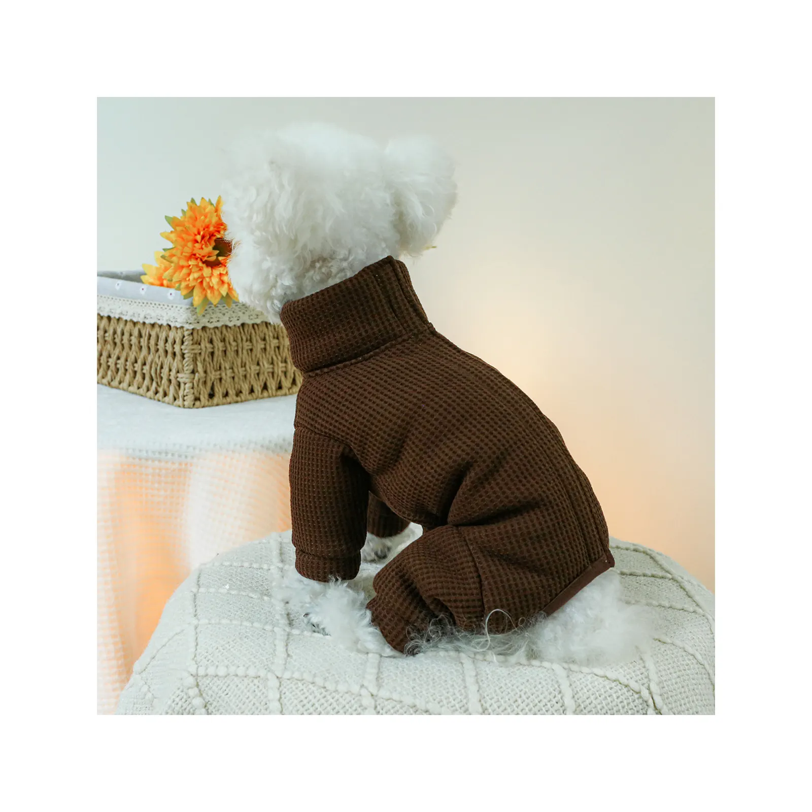 犬と猫の衣類メーカーによる秋冬の新しいペットサークルワッフルバッグベリースーツスカートの卸売