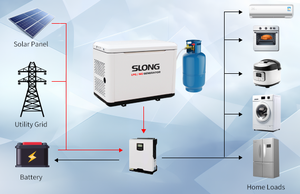 <span class=keywords><strong>Generatore</strong></span> di Corrente <span class=keywords><strong>a</strong></span> <span class=keywords><strong>Gas</strong></span> Silenzioso per Uso Residenziale di Emergenza Marca SLONG - Product Image 4