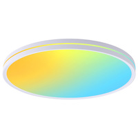 Plafonnier LED de haute qualité 85-265V 37cm, plafonnier à thème paysage céleste, dynamique et coloré 48W avec télécommande
