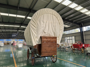 Voiture électrique classique en bois, chariot de tourisme à énergie nouvelle, moteur 3/5 KW - Product Image 4