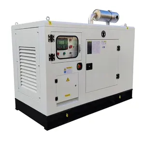 silent type 50kw natural gas power generator powered by YTO