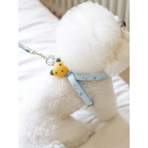 Di lusso in stile Sport Pet imbracatura personalizzata in Nylon con motivo animale in tinta unita bambola per animali da esterno per piccole dimensioni XS XL - Product Image 1