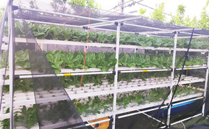 Sistema Hidropónico Vertical NFT Completo para Cultivo de Lechuga, Sistema Hidropónico NFT para Plantar Vegetales, Kit Completo NFT para Fresas - Product Image 2