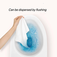 Lingettes humides jetables pour toilettes
